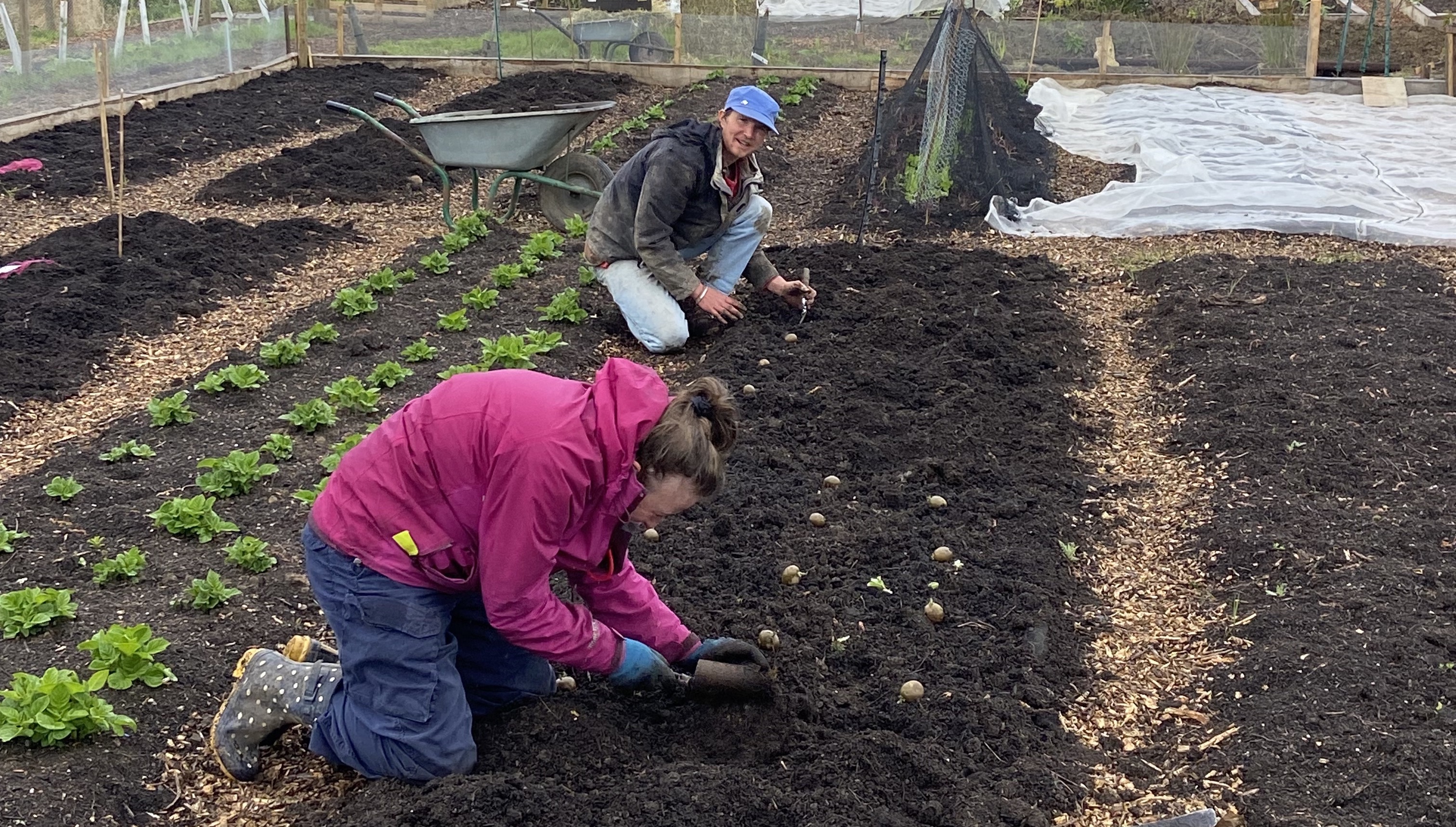 People working at Wedmore Village Farm