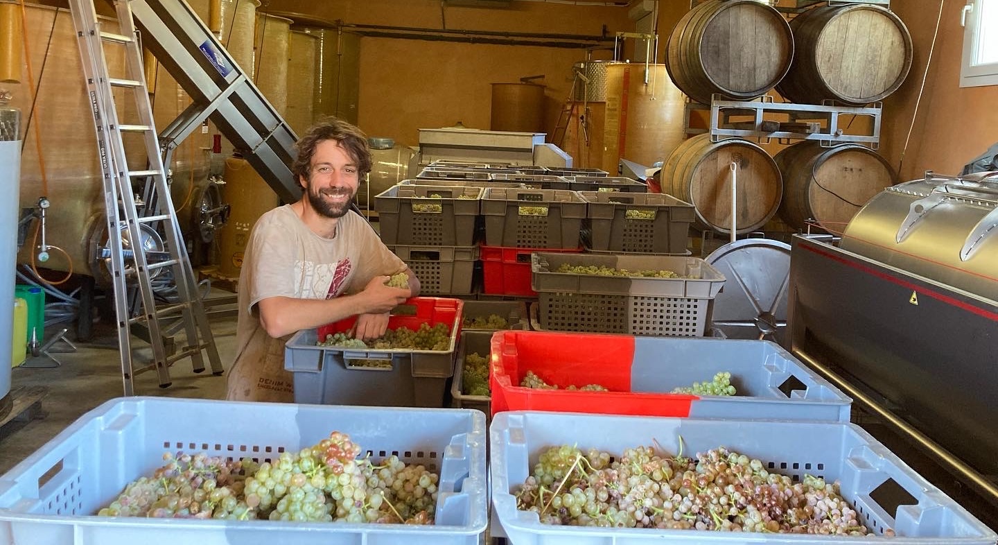A man with a harvest of grapes