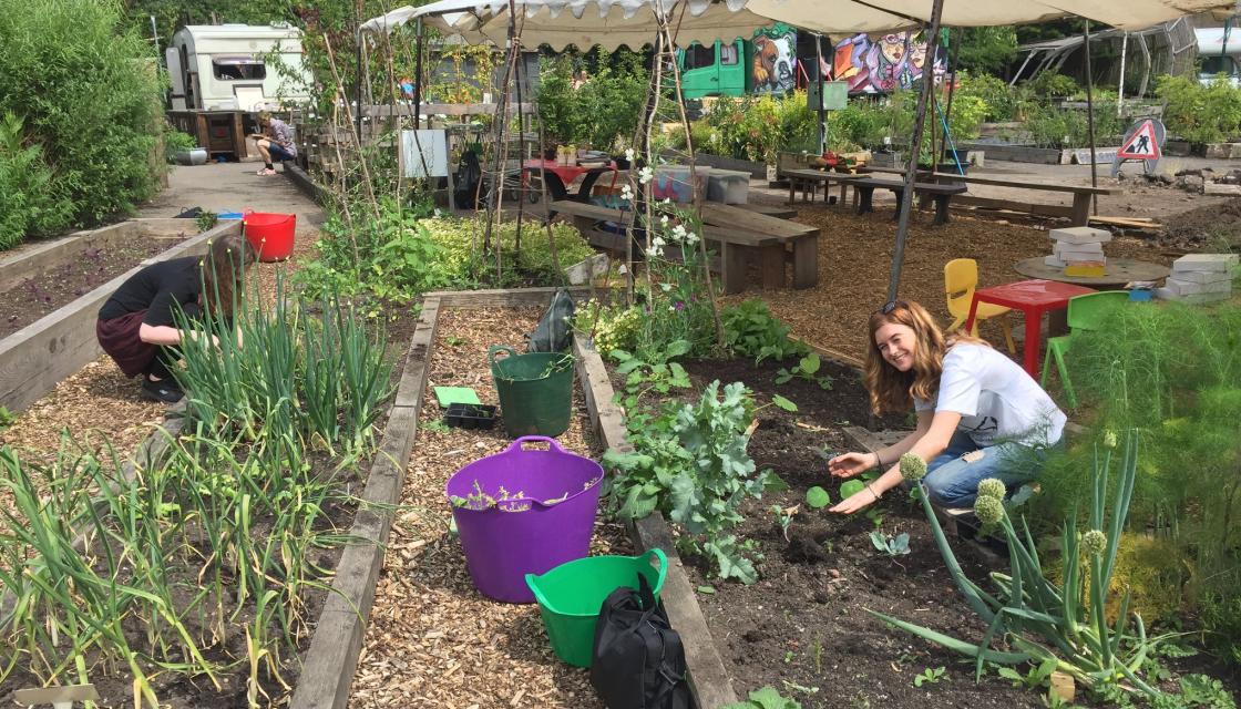 Hulme Community Garden Centre