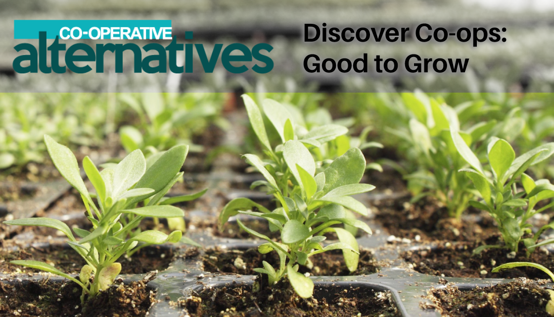 Co-operative Alternatives
