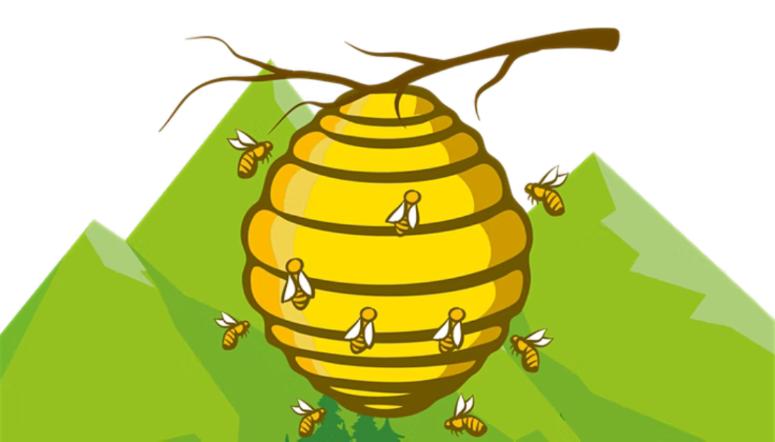 Marches Hive