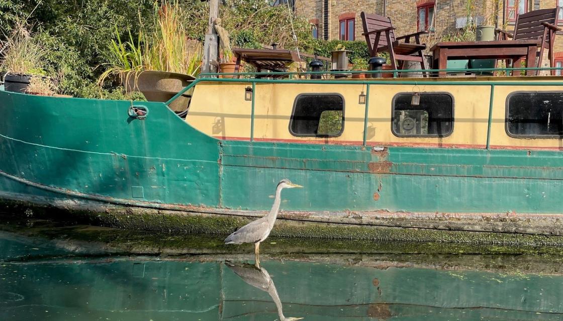 A crane at the side of a boat