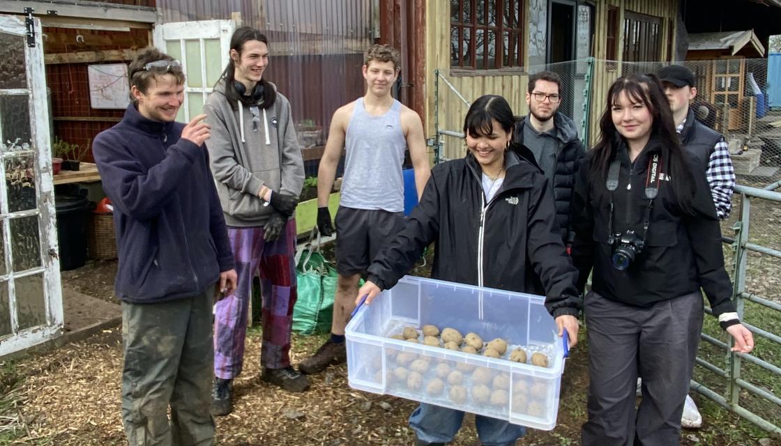 People with potatoes on Wedmore Village Farm
