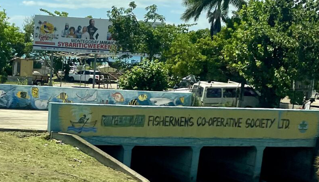A photo of a bridge in Jamaica with the writing "Fishermans Co-operative Society Limited"