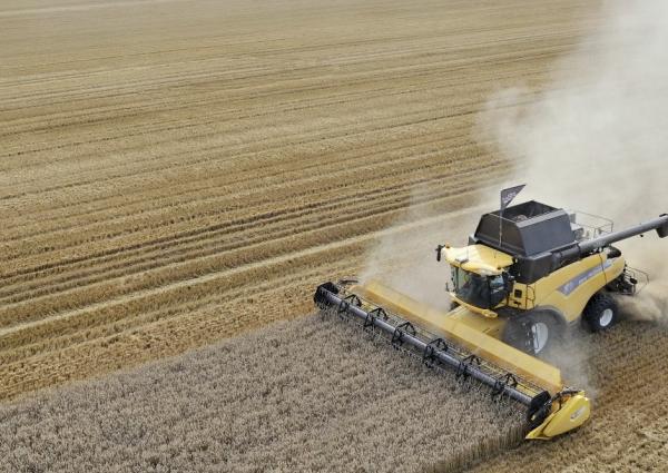 Combine harvester