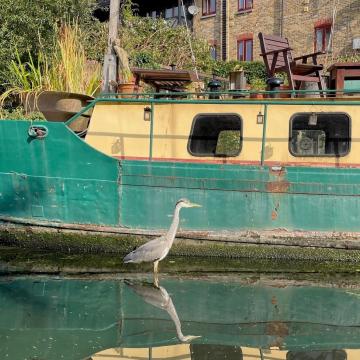 A crane at the side of a boat