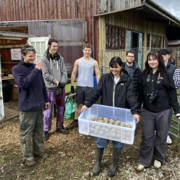 People with potatoes on Wedmore Village Farm